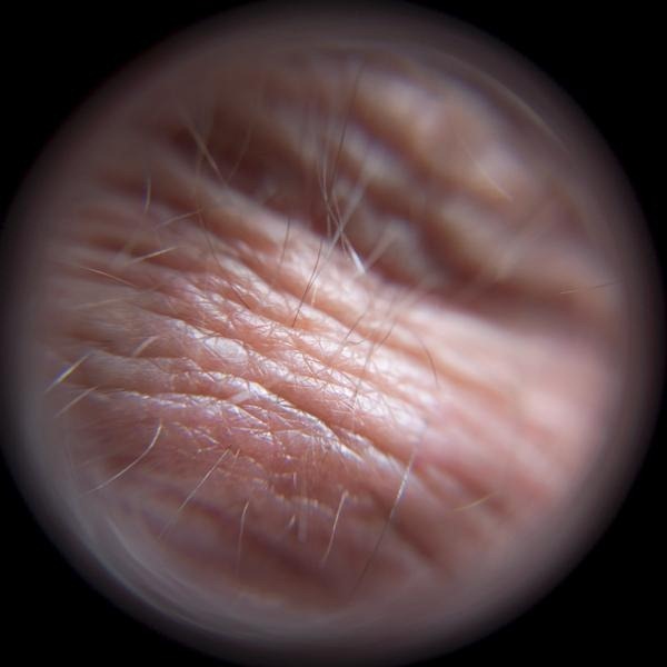flesh#4[4]