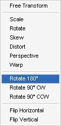 step2d_rotate_180 step2d_rotate_180