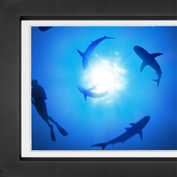 Picture Frame Graphics