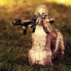 Army Squirrel Photo Manipulation Photoshop Tutorial