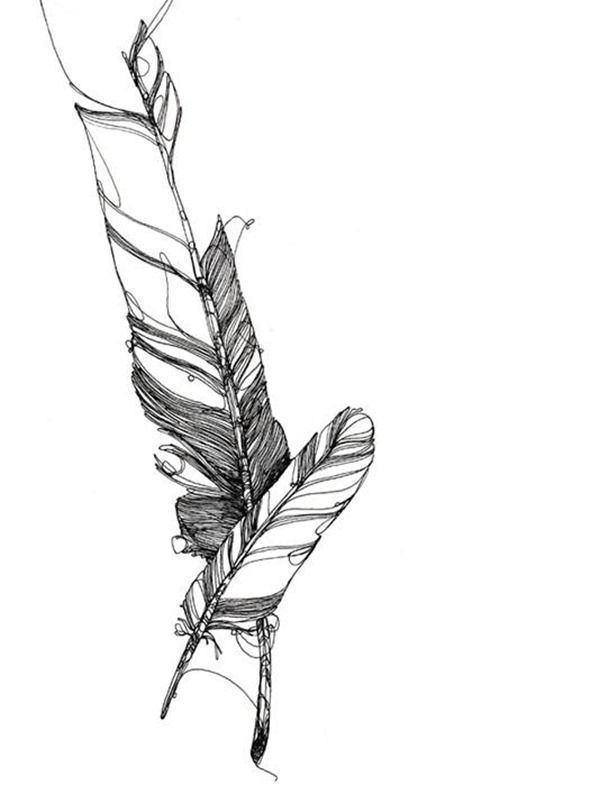 sprades_federn 