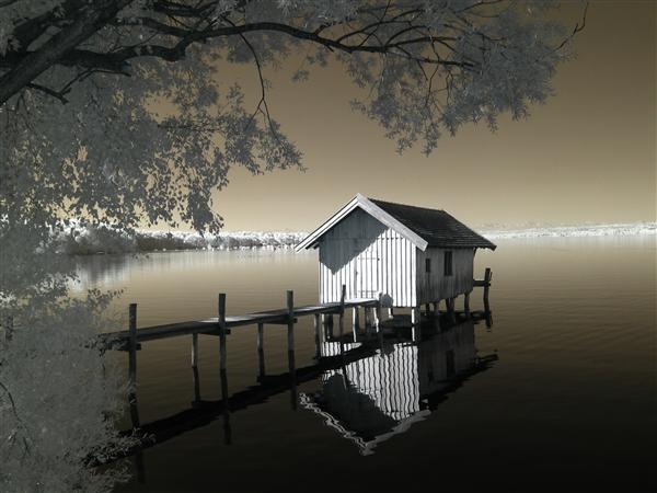 Infrared Landscape
