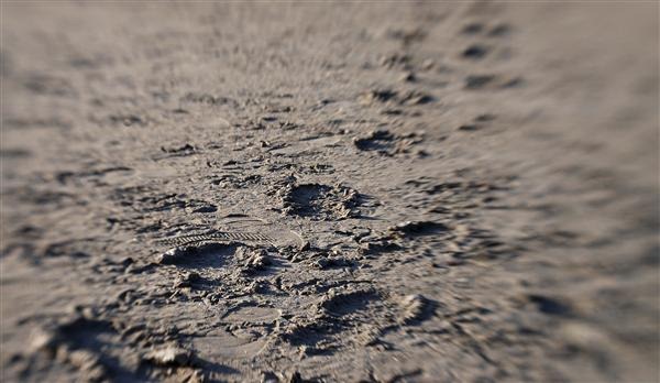 Footprints