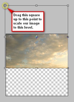 step2b_transform_resize step2b_transform_resize