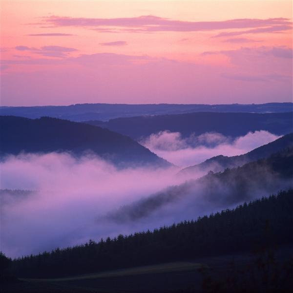 Landscape Covered in a Haze