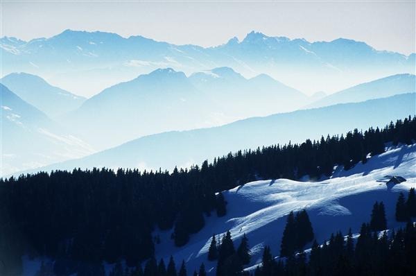 Mountain Range and Forest