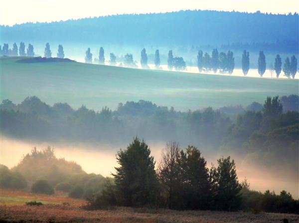 Morning Mist - Bohemian Forest