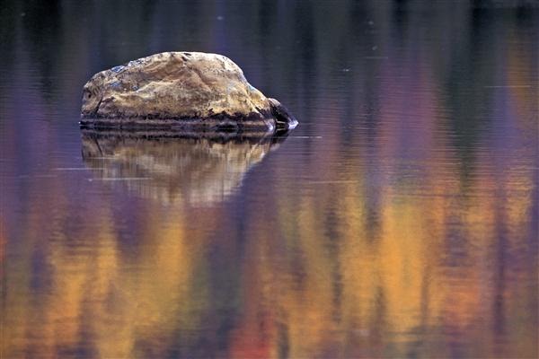 Maine Reflection