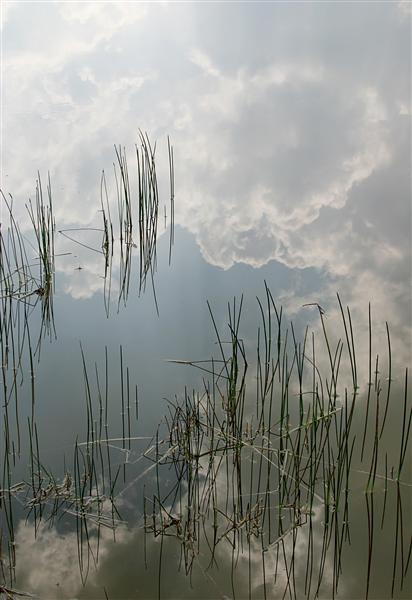 Water-Level and Reflecting