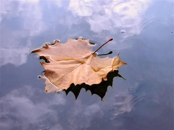 Autumn