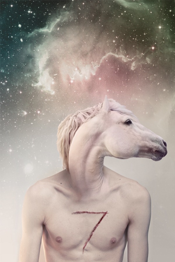 seven_horses