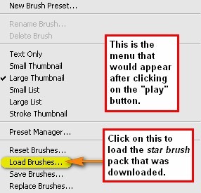 step6c_load_brushes