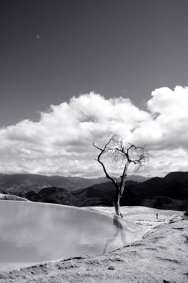 mono-landscape3