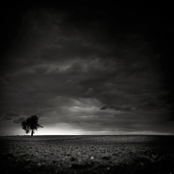 Design Inspiration Black and White_html_2846c1d4 Design Inspiration Black and White_html_2846c1d4