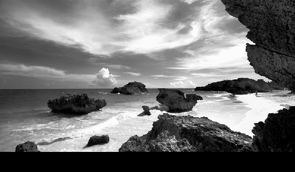 Design Inspiration Black and White_html_4e45b32a Design Inspiration Black and White_html_4e45b32a