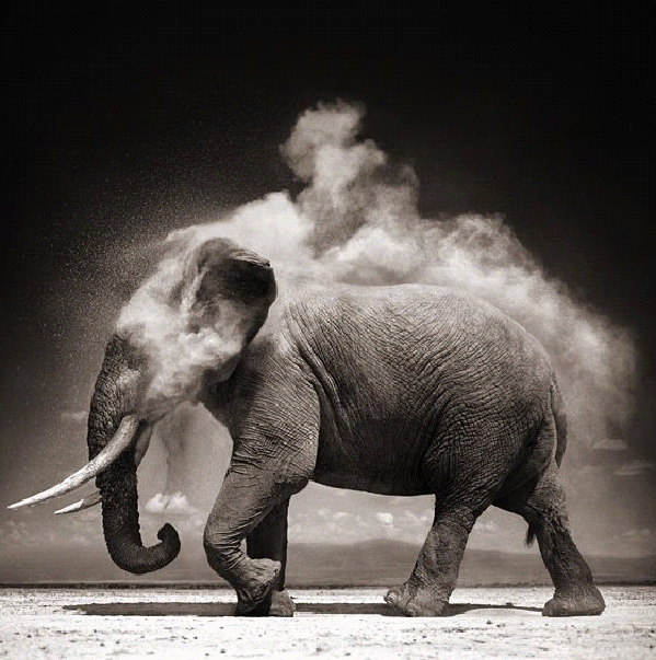 Design Inspiration Black and White_html_m299a9d5e Design Inspiration Black and White_html_m299a9d5e