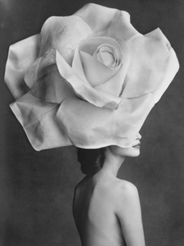 Design Inspiration Black and White_html_mb8cdb27 Design Inspiration Black and White_html_mb8cdb27