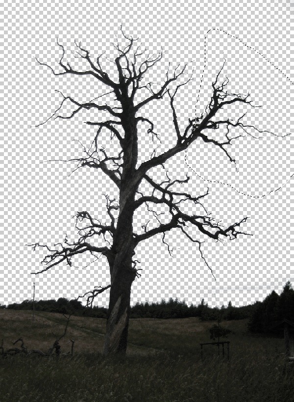 24 24