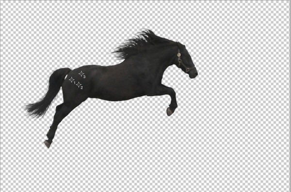 adobe photoshop download file horse