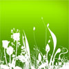 Fresh Foilage Photoshop Brush
