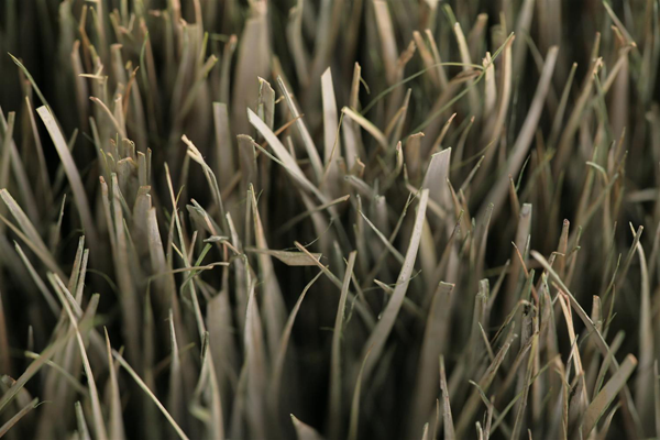 Top view of dried grass