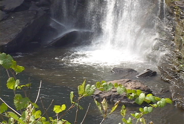Little River Falls Little River Falls
