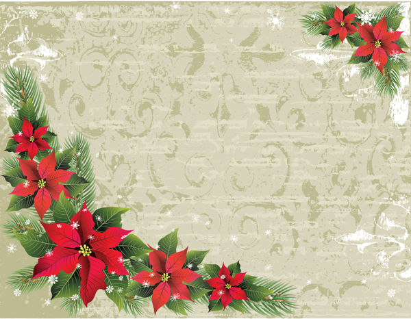 Poinsettia Background Poinsettia Background