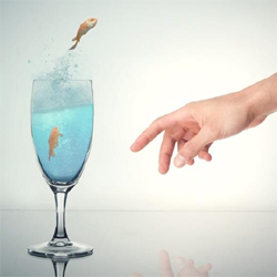 How to Make a Fish Jump Out of Water Photoshop Tutorial