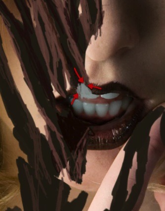 ScreenFlow 19 ScreenFlow 19