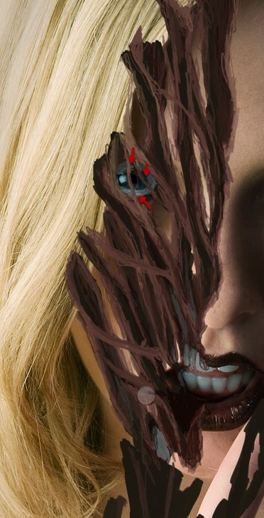 ScreenFlow 27 ScreenFlow 27