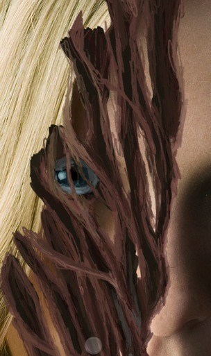 ScreenFlow 31 ScreenFlow 31