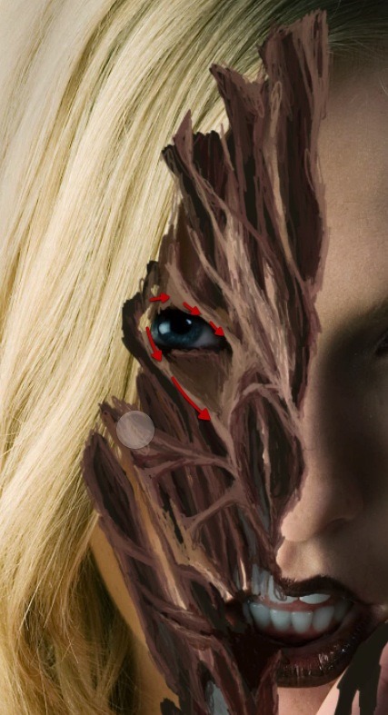 ScreenFlow 32 ScreenFlow 32