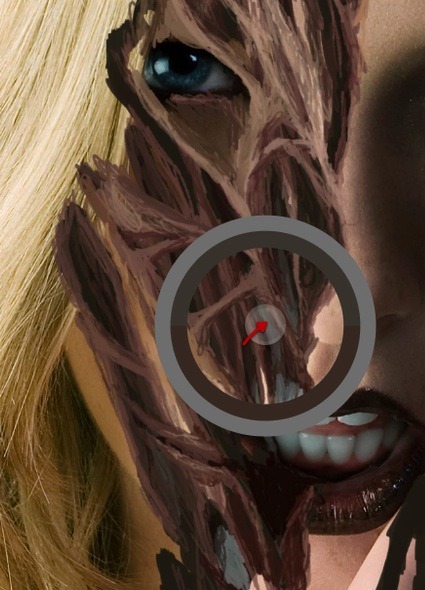 ScreenFlow 34 ScreenFlow 34