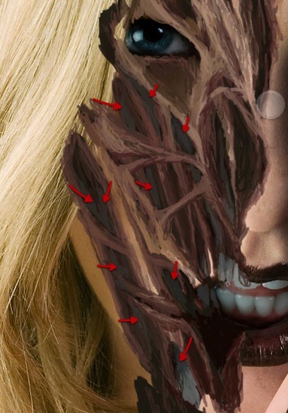 ScreenFlow 35 ScreenFlow 35