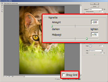 Adding a vignette with the Lens Correction filter in Adobe Photoshop CS2.