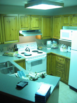 Kitchen with Colorcast