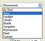 White Balance Options