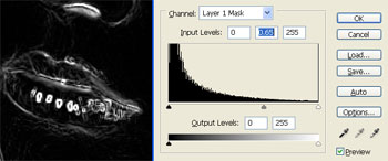 Levels Adjustment