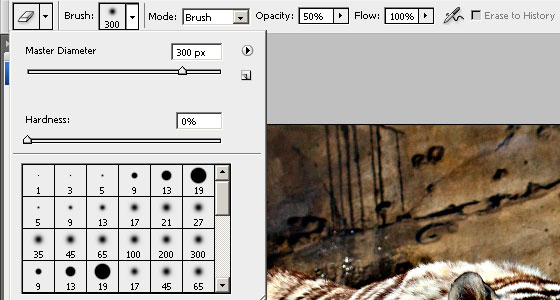 Photoshop Brush Options