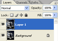 Duplicate Layer