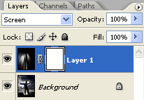 Layer Mask