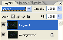 Duplicated Layer