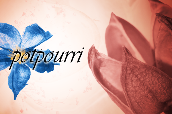 Potpourri