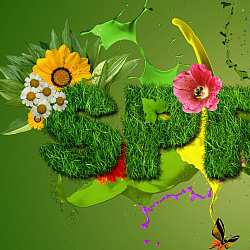 Spring Wallpaper Photoshop Tutorial