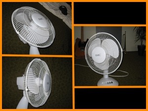 fan fan