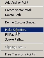 make_selection_pen_tool make_selection_pen_tool