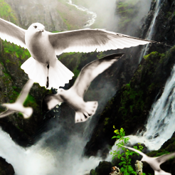 Blissful Landscape Photo Manipulation Photoshop Tutorial
