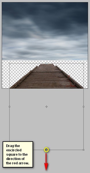 step2q step2q