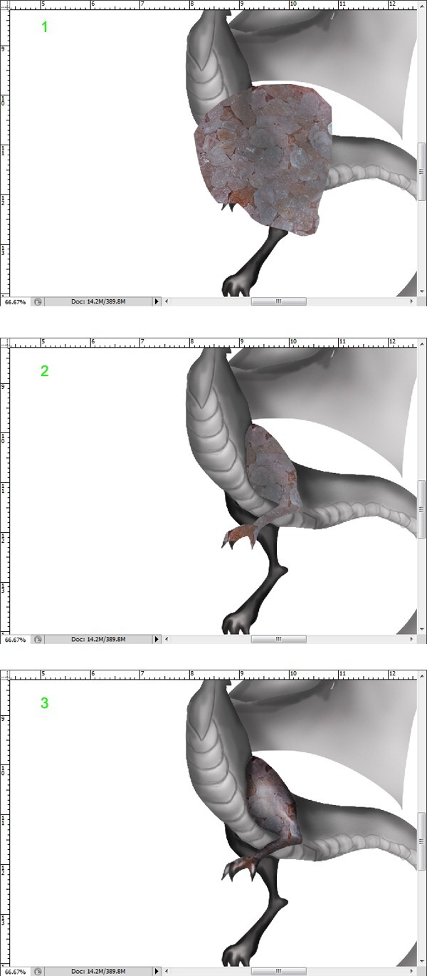 step9 step9