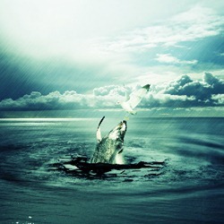 Create a Dramatic Photo Manipulation of a Whale Stealing from a Seagull